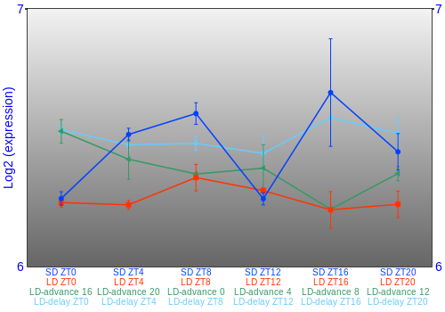 Expression graph