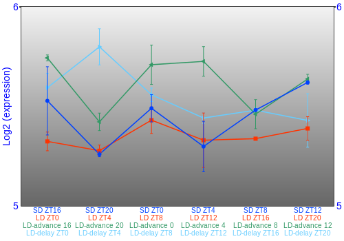 Expression graph