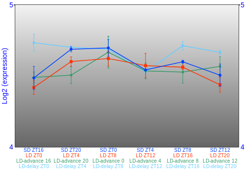 Expression graph