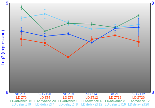 Expression graph
