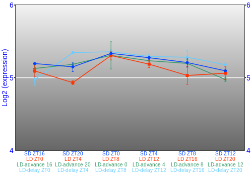 Expression graph