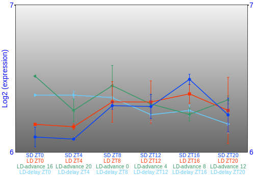 Expression graph