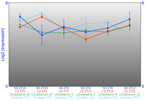 Expression graph