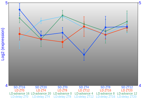 Expression graph