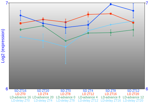 Expression graph