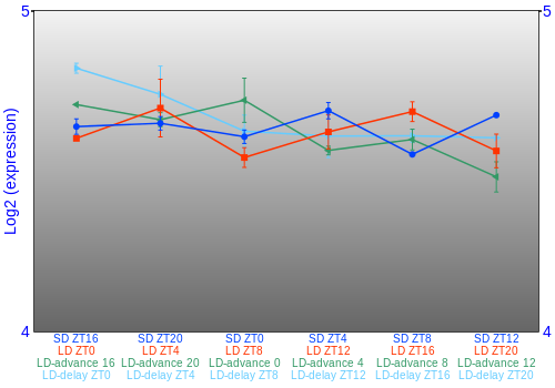 Expression graph