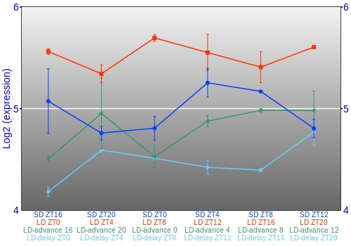 Expression graph