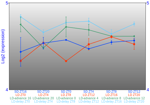 Expression graph