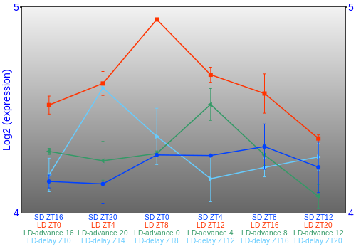 Expression graph