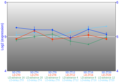 Expression graph