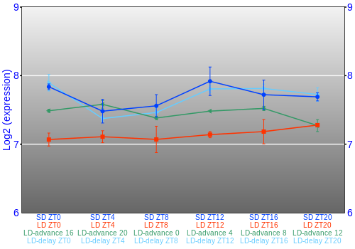 Expression graph