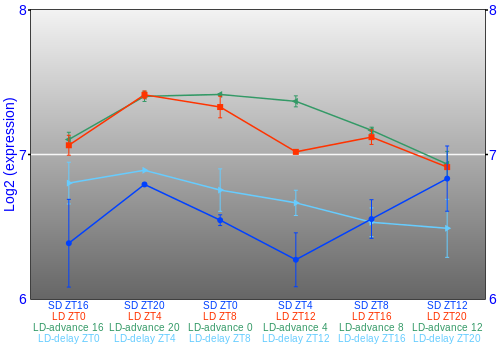 Expression graph