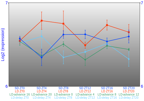 Expression graph