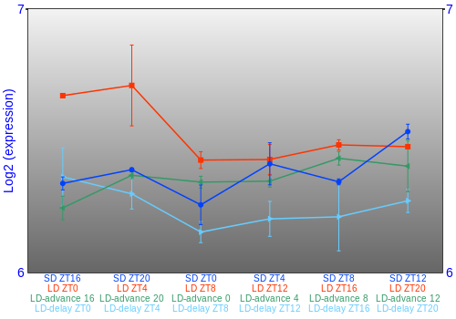 Expression graph