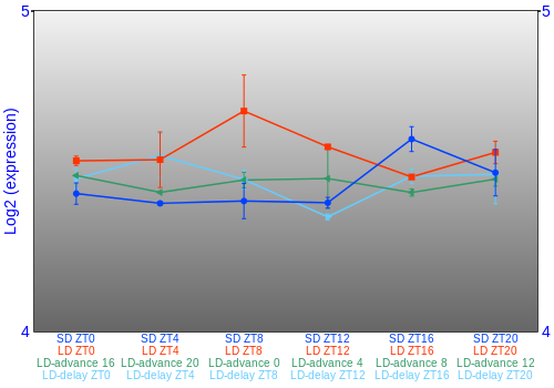 Expression graph