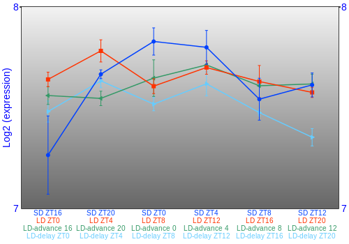 Expression graph