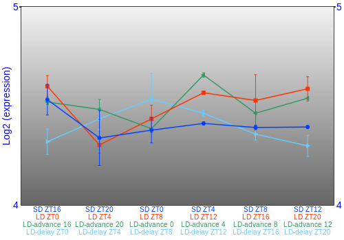 Expression graph