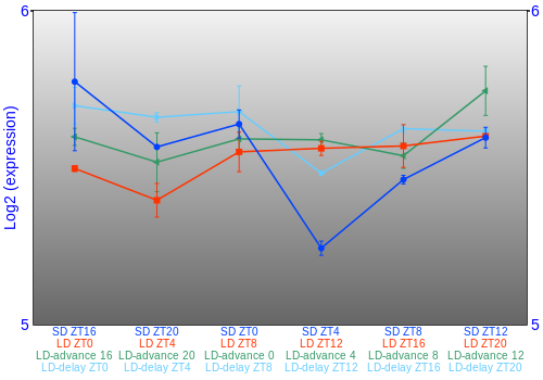 Expression graph