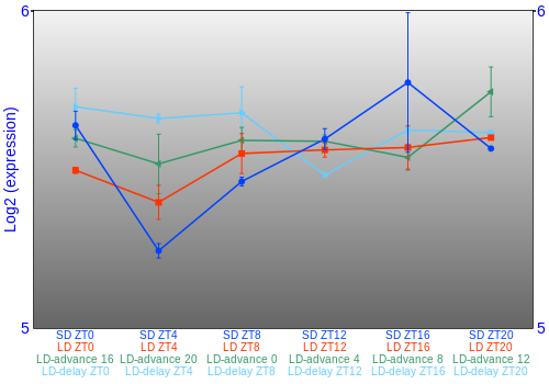 Expression graph