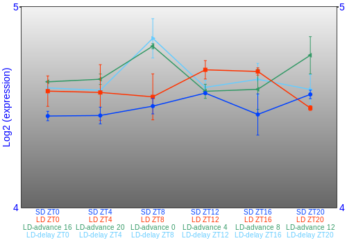 Expression graph