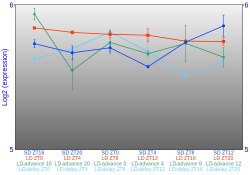 Expression graph