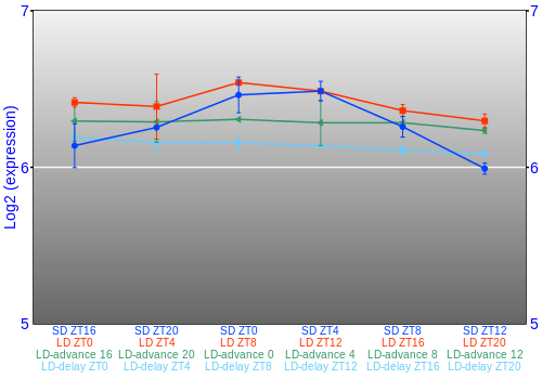 Expression graph