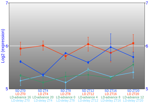 Expression graph