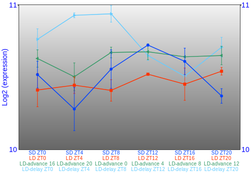Expression graph