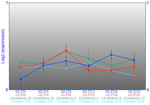 Expression graph