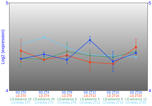 Expression graph