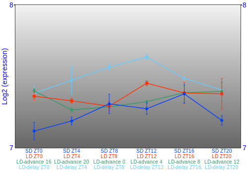 Expression graph