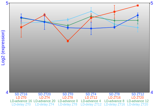 Expression graph