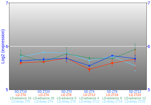 Expression graph