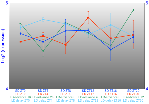 Expression graph