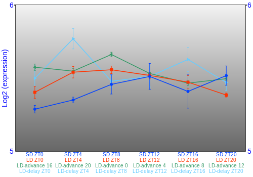 Expression graph