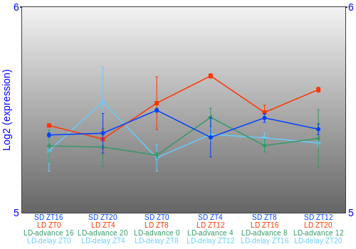 Expression graph