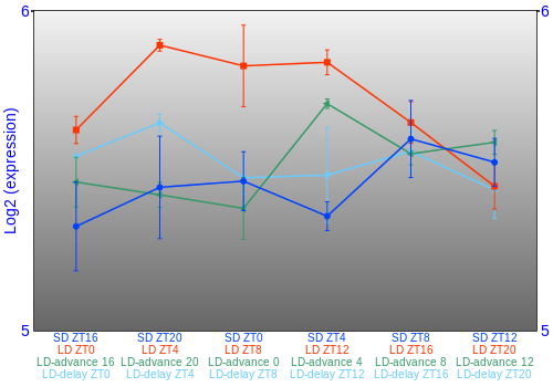 Expression graph