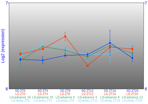 Expression graph