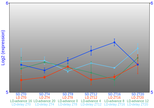 Expression graph