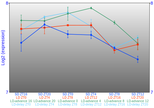 Expression graph