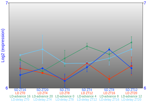 Expression graph
