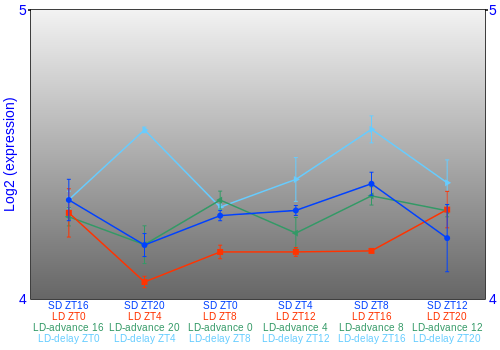 Expression graph