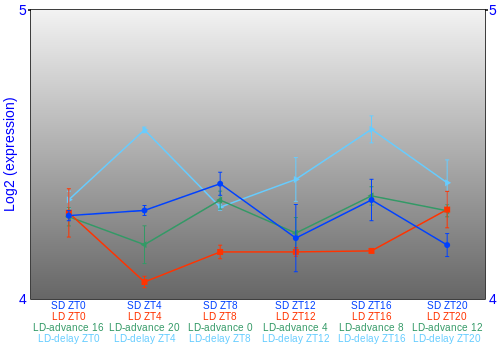 Expression graph