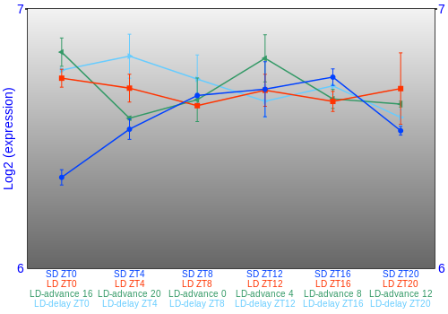 Expression graph