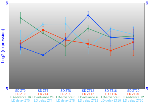 Expression graph