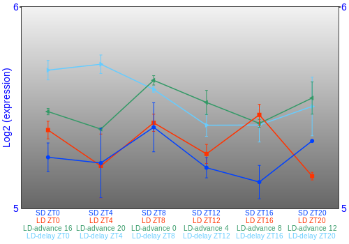 Expression graph