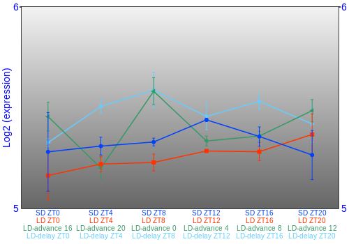 Expression graph