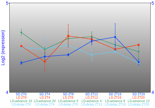 Expression graph
