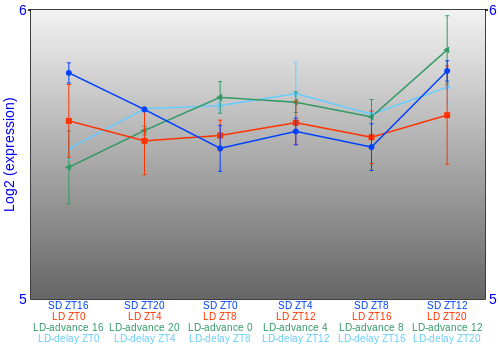 Expression graph