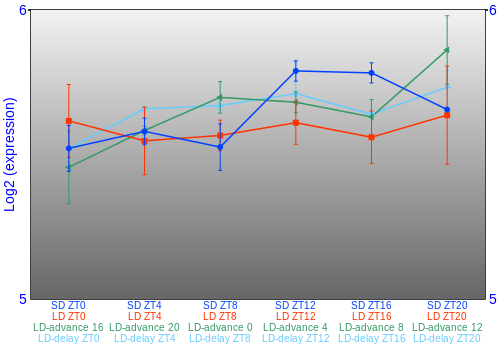 Expression graph